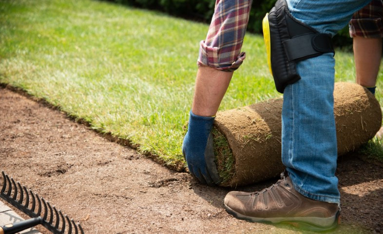 An image of Lawn Care in Eagan, MN